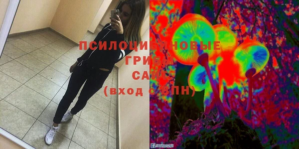 амф Алексин