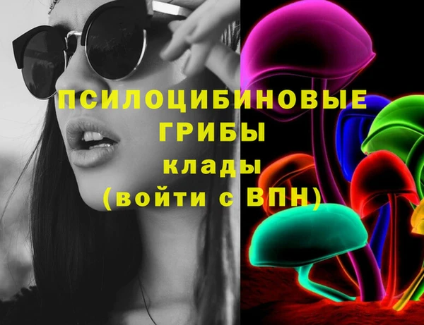 амф Алексин