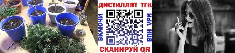 KRAKEN как войти  Арамиль  Дистиллят ТГК гашишное масло 
