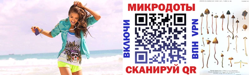 omg tor  Арамиль  Псилоцибиновые грибы Magic Shrooms 
